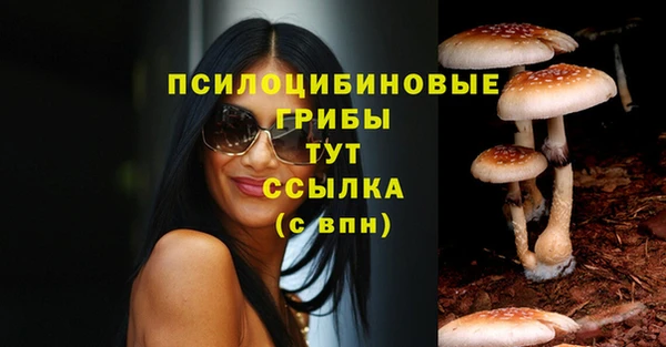 дистиллят марихуана Медногорск