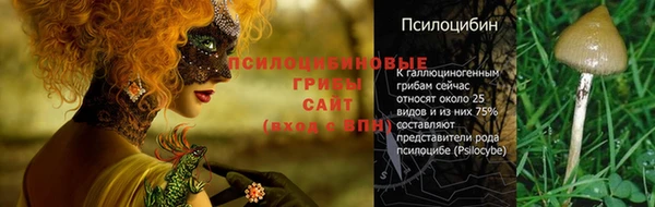 дистиллят марихуана Медногорск