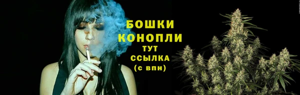прущие крисы Мегион