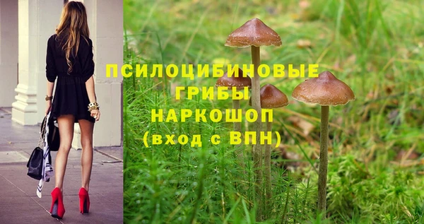 дистиллят марихуана Медногорск