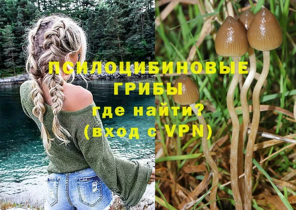 прущие крисы Мегион